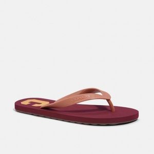 NWOT Coach Zak Flip Flops in Varsity-Wine